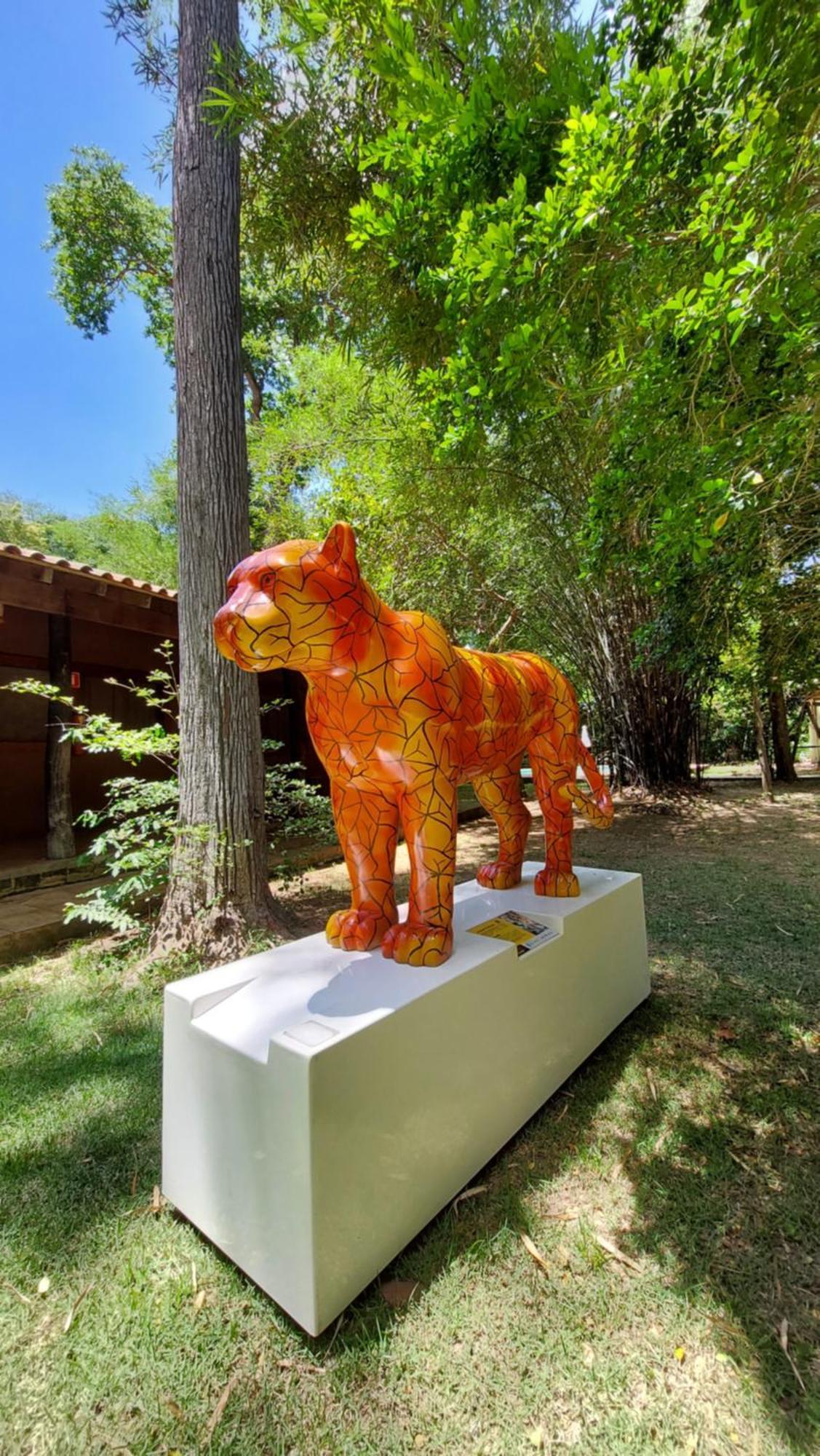 Aymara Lodge 포코네 외부 사진